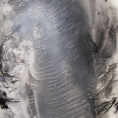 Dotyk 12, papier, akryl, 50 cm x 32,5 cm, 2012
